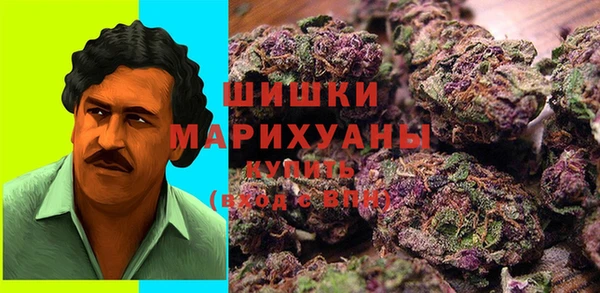 прущие грибы Армянск