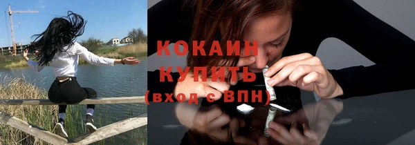 прущие грибы Армянск